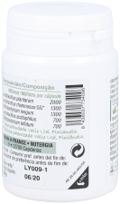Ergyphilus Conf 60 Capsules