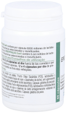 Ergyphilus Conf 60 Capsules