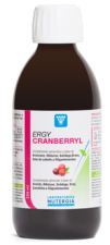 Energy Cranberry 250 ml