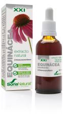 Echinacea Extract