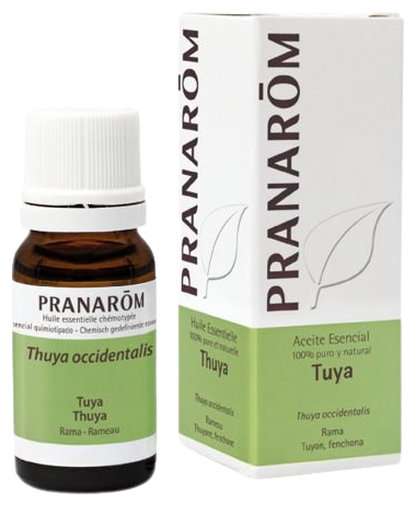 Thuja Essential Oil 10 ml