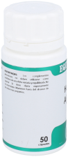 Holofit Absinthe Capsules