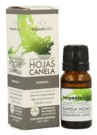 Cinnamon Leaves Essential Oil 10 ml