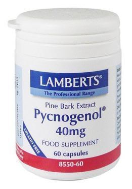 Lamberts Pycnogenol 40 mg maritime pine bark extract 60 capsules