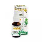 Epid Oral Spray Alcohol Free 15 ml