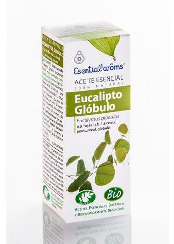 Eucalyptus Essence Globule 10 ml Bio