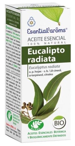 Eucalyptus Radiata Essential Oil 10 ml