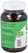 Ginger 90 capsules Bio 500 ml