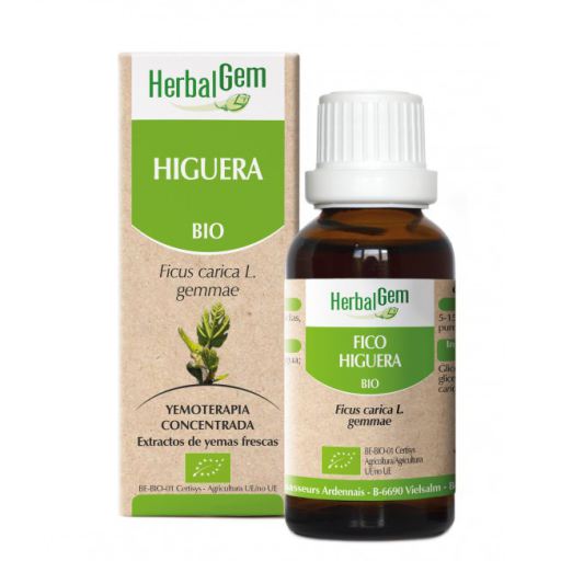 HerbalGem Gemmotherapy Fig Tree 15ml Bio