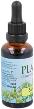 Sage extract 50 ml