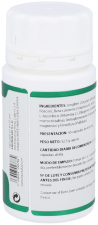 Ayurveda Ginger Capsules