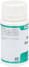 Holofit Propolis Capsules