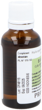 Clove Essential Oil Spices