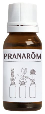 Geranium Essential Oil from Egypt