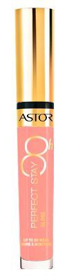 Perfect Stay Gloss 8H