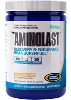 Aminolast 420 gr
