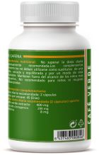 Green Coffee 90 Capsules 600 mg Green Coffee 90 Capsules 600 mg