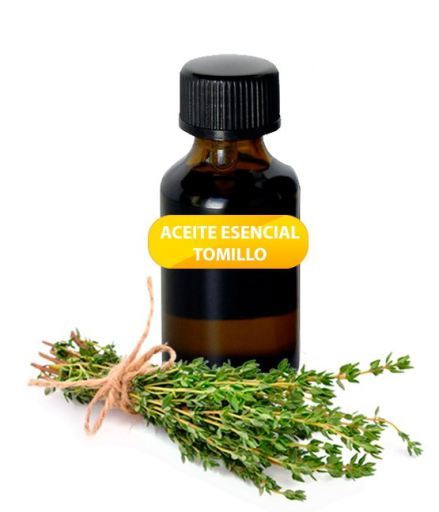 Thyme Essential Oil 20 ml