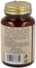 Salt Salys 13 Totum 90 Tablets