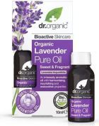 Lavender Pure Oil 10ml