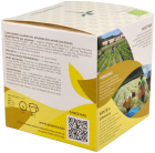 Ginger Citrus Bio 10 Pyramid Sachet