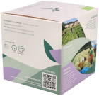 Jasmine Green Tea Bio 10 Pyramid