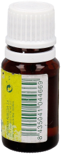 Essence 10 cc