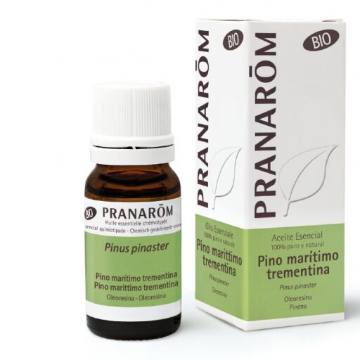Maritime Pine Essential Oil Bio 10 ml