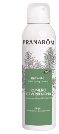 Rosemary QT Verbenone Hydrosol 150 ml