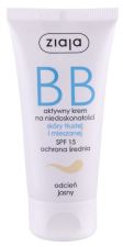 BB cream oily and mixed skin SPF15 50 ml