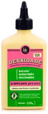 Densidade Acidifying Hair Treatment 250 ml
