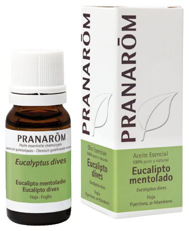 Mentholated Eucalyptus Essential Oil 10 ml
