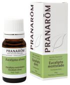 Mentholated Eucalyptus Essential Oil 10 ml