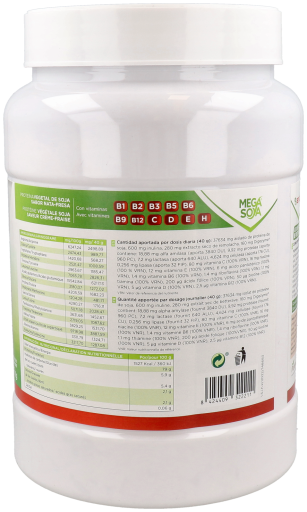 Protein Mega Soya Soy Protein 1 Kg