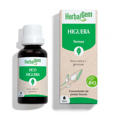 Fig 30 ml Bio